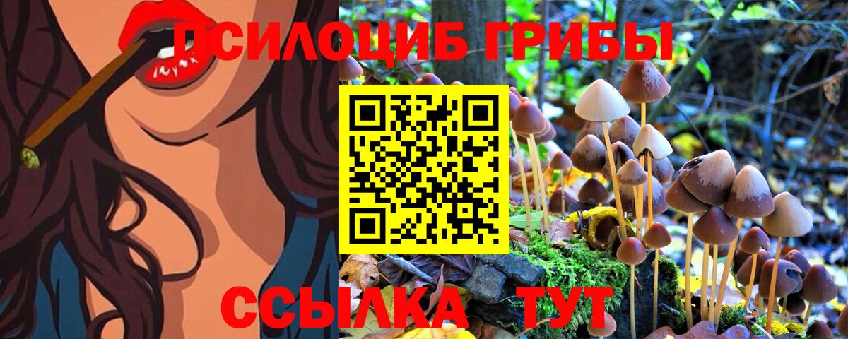Саянск  Псилоцибиновые грибы Psilocybe  магазин продажи   Вход с VPN  Галлюциногенные грибы Psilocybe 